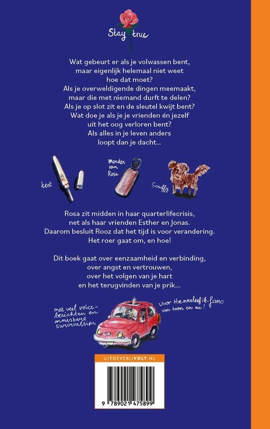 Hoe overleef ik 16 - alles wat ik niemand vertel? Achterkant boek