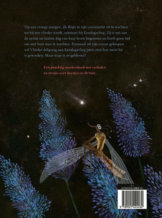 Toen rups een vlinder werd Kinderboekenland.nl