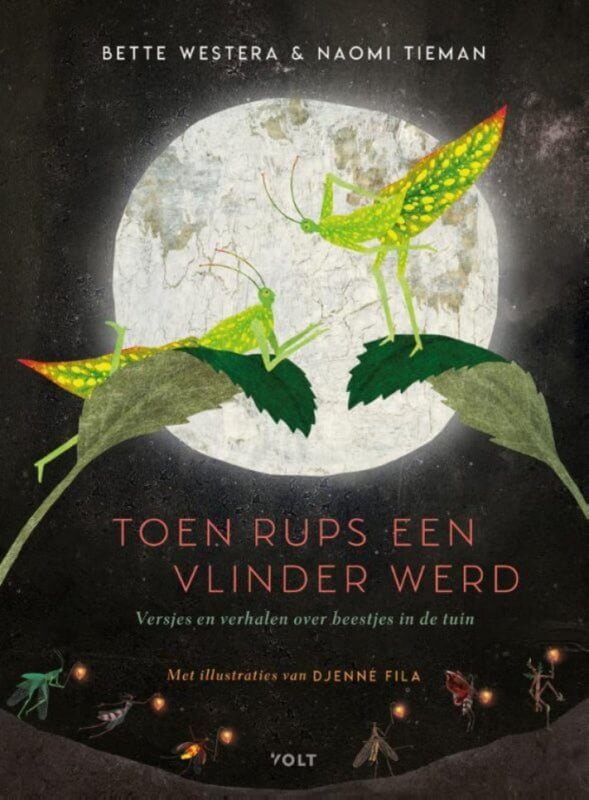 Toen rups een vlinder werd Kinderboekenland.nl