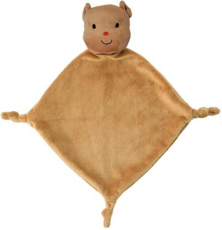 Welterusten lieve bobbi - met knuffeldoek Kinderboekenland.nl