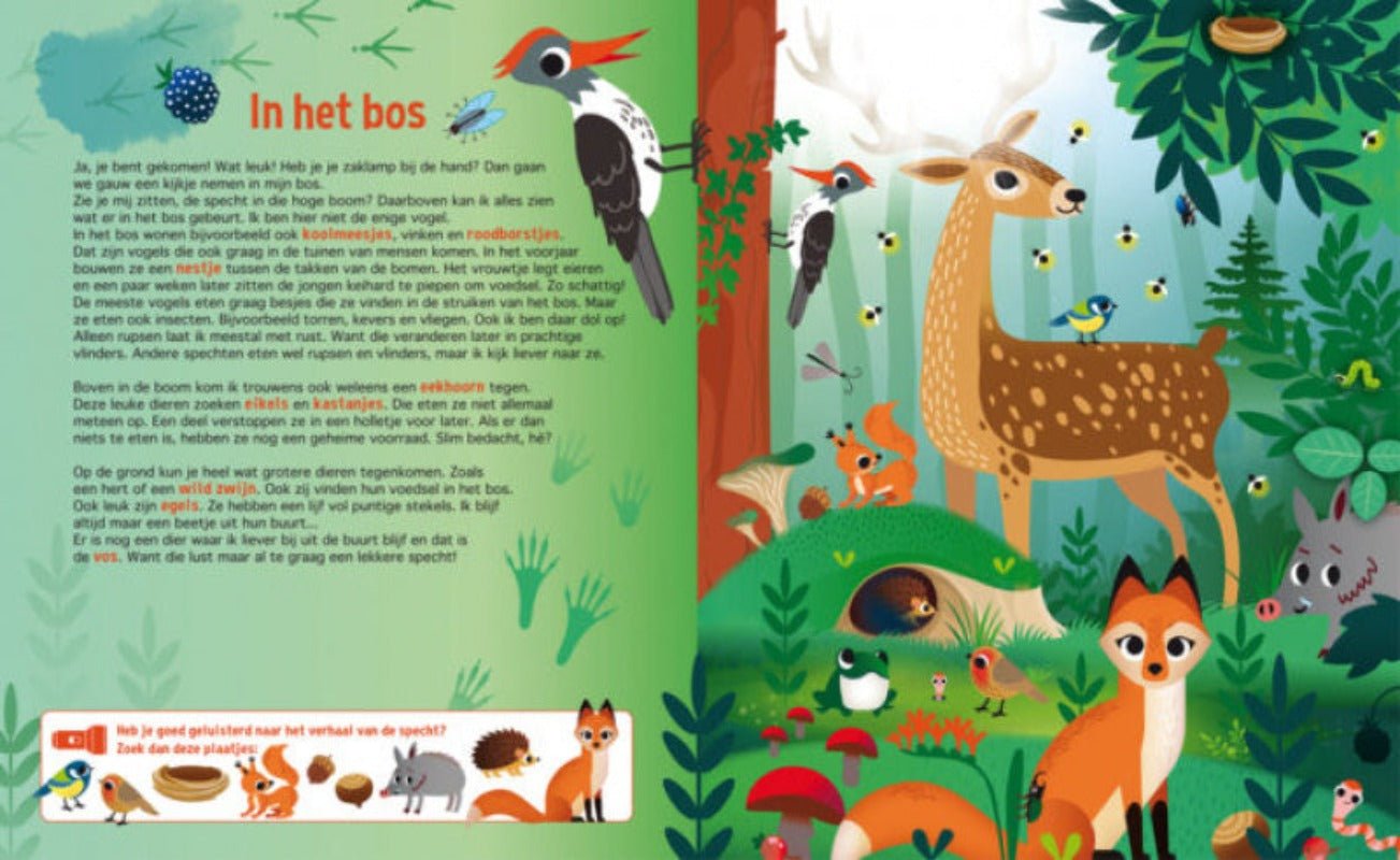 Zaklampboek speuren in de dierenwereld Kinderboekenland.nl