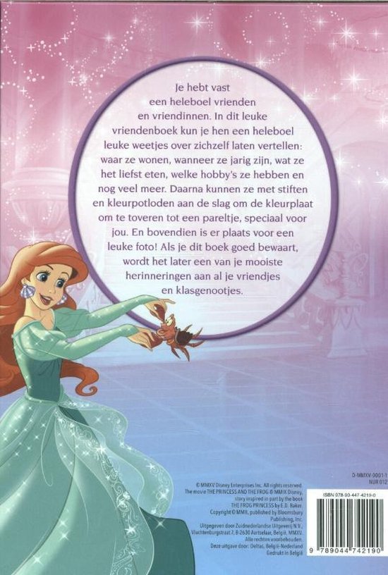 Disney vriendenboek prinses achterkant